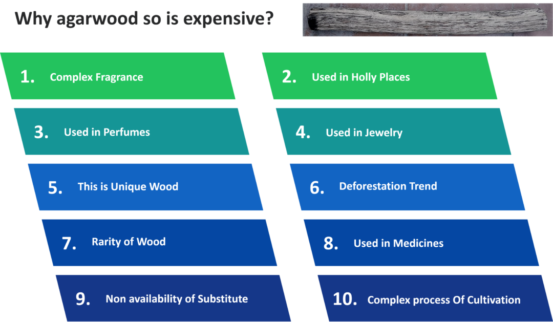 Why is Oud SO Expensive? Top 10 Reasons That Might Surprise You Agarwood